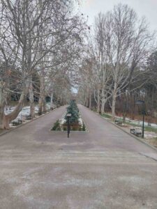 615423537_1343145351187210_8967057303613069919_n